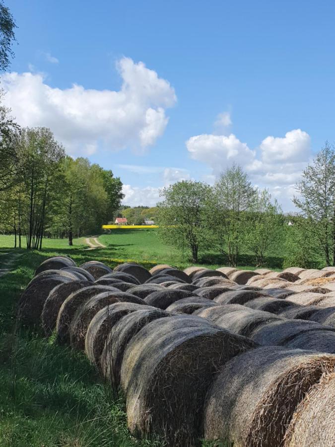 Anni's Waldblick Lägenhet Burgstadt Exteriör bild