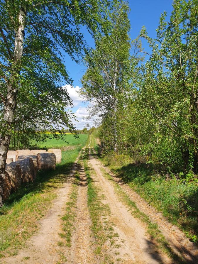 Anni's Waldblick Lägenhet Burgstadt Exteriör bild