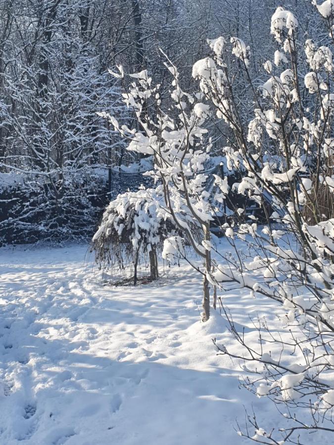 Anni's Waldblick Lägenhet Burgstadt Exteriör bild